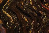 Polished Tiger Iron Stromatolite - ( Billion Years) #96226-1